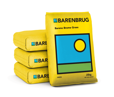 Bareno