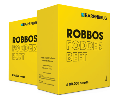 Robbos fodder beet