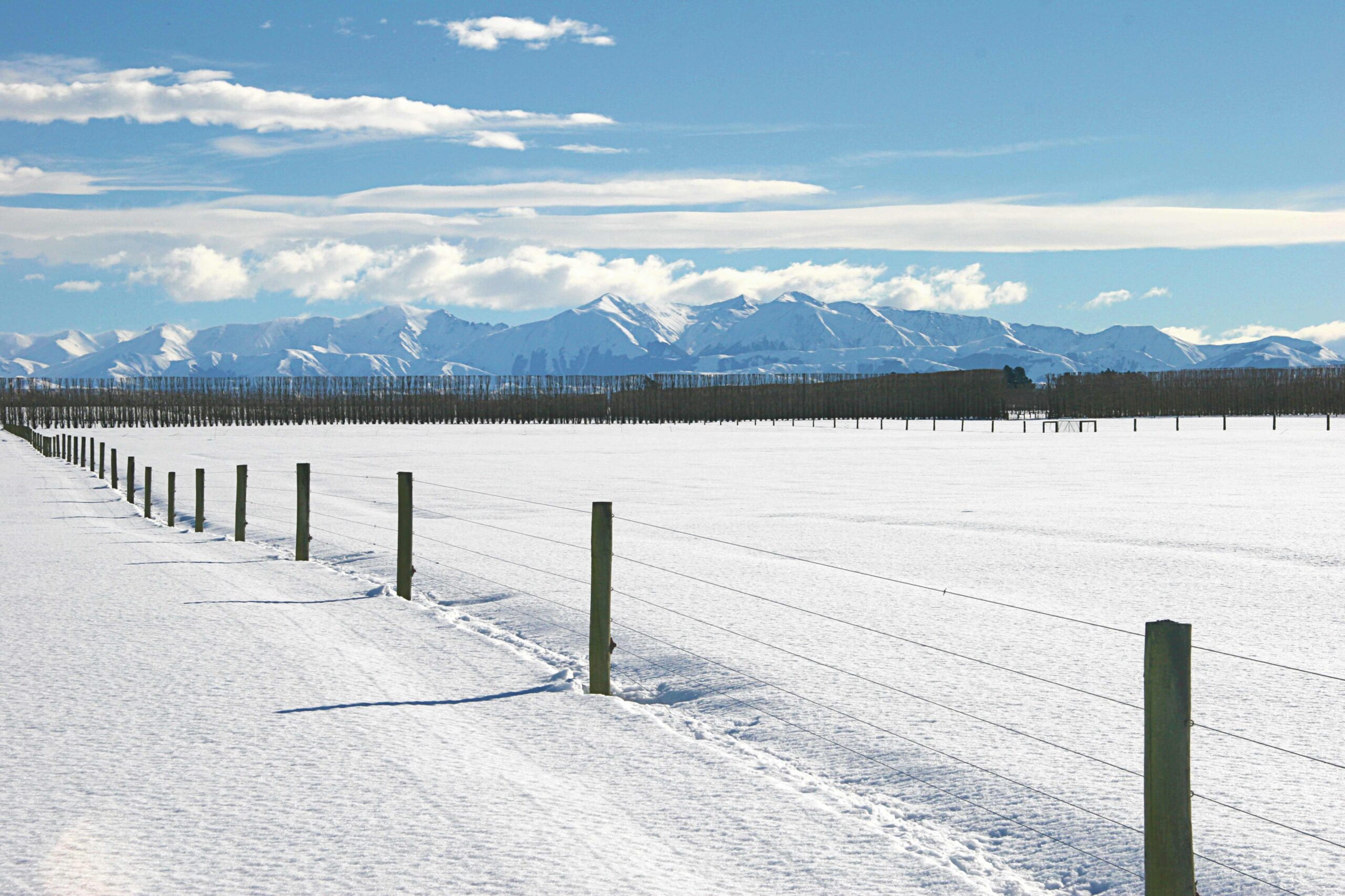 Winter feed considerations