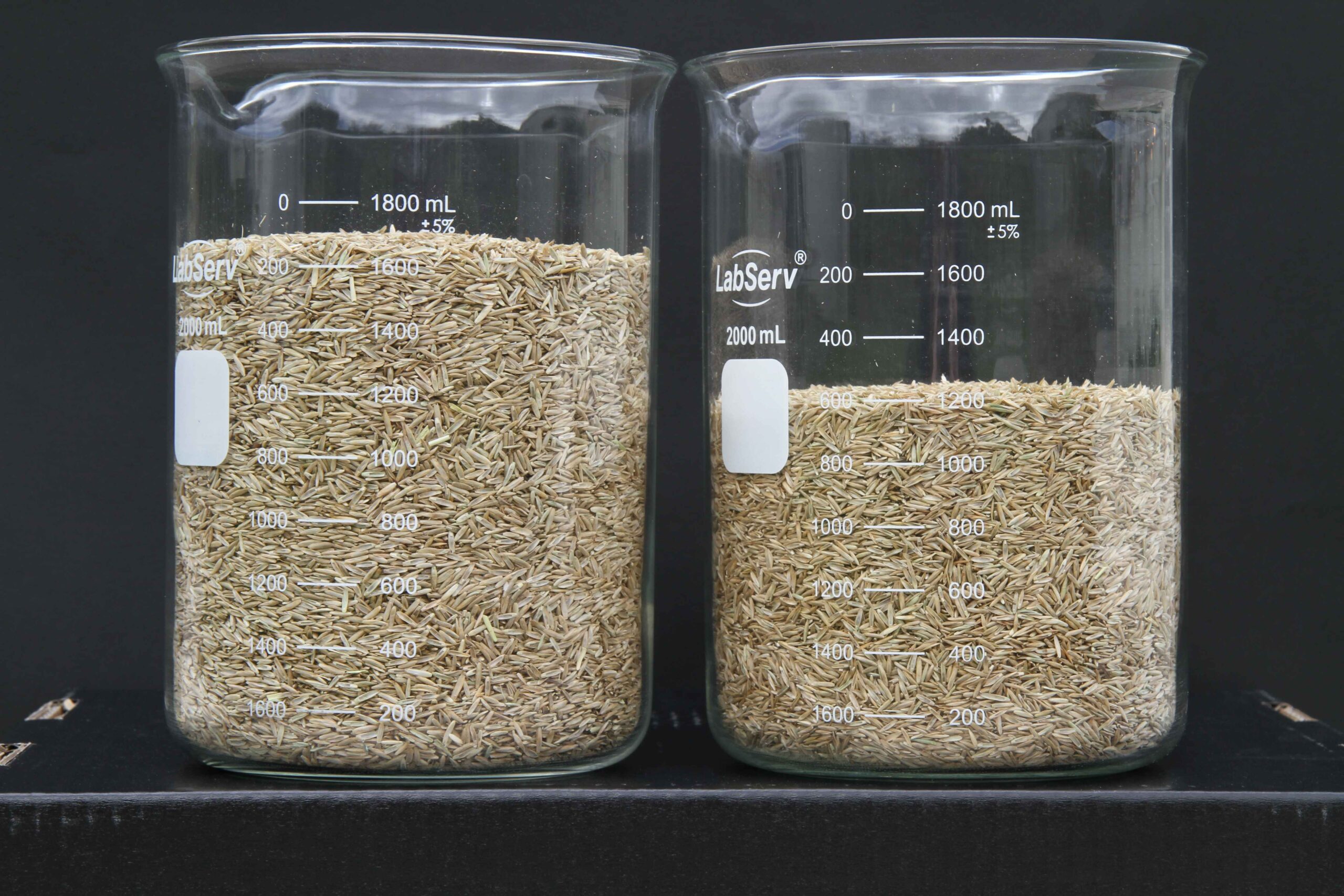 Tetraploid seeds