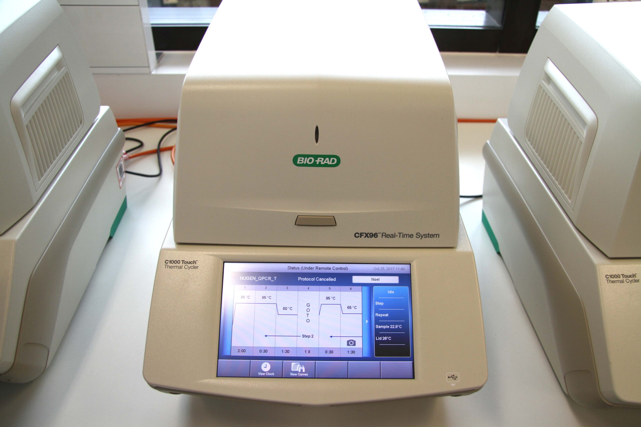 Developing great endophytes