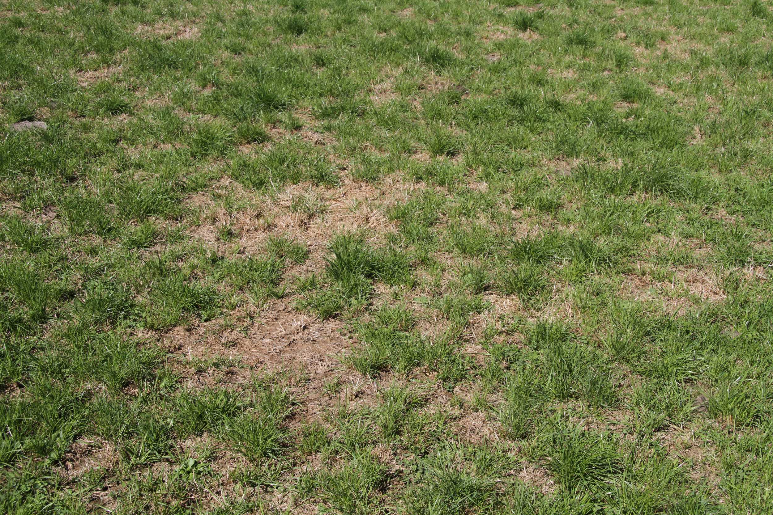 Rectify causes of poor performance