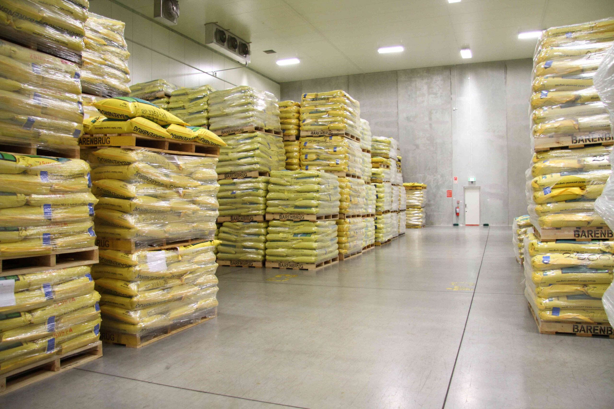 Storing seed with endophyte