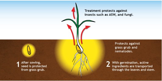 Seed treatments FAQ’S