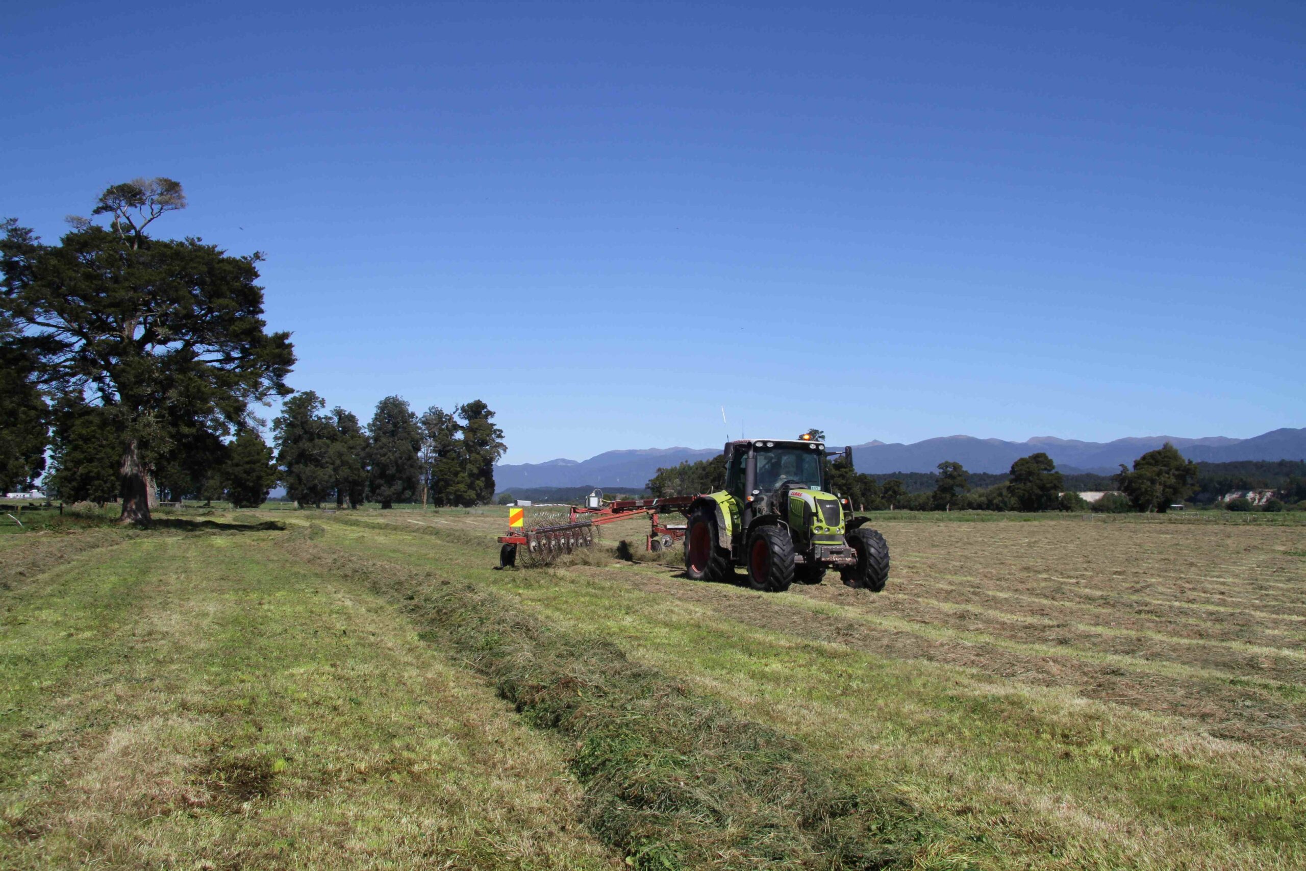 Making great silage