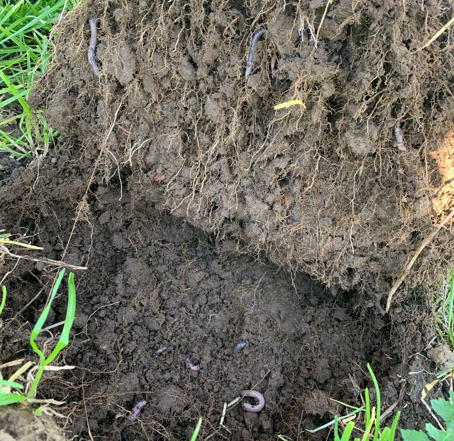 Soil structure & health