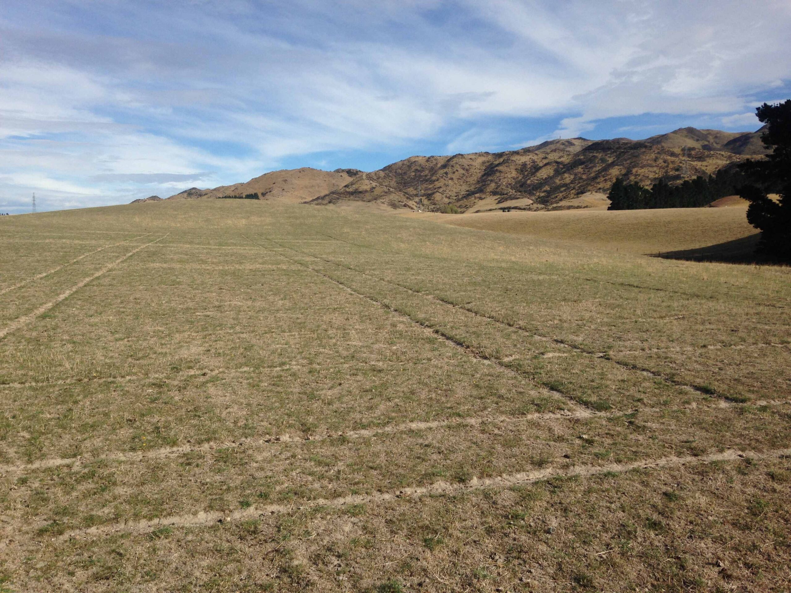Seasonal priorities – Preparing for dry summers