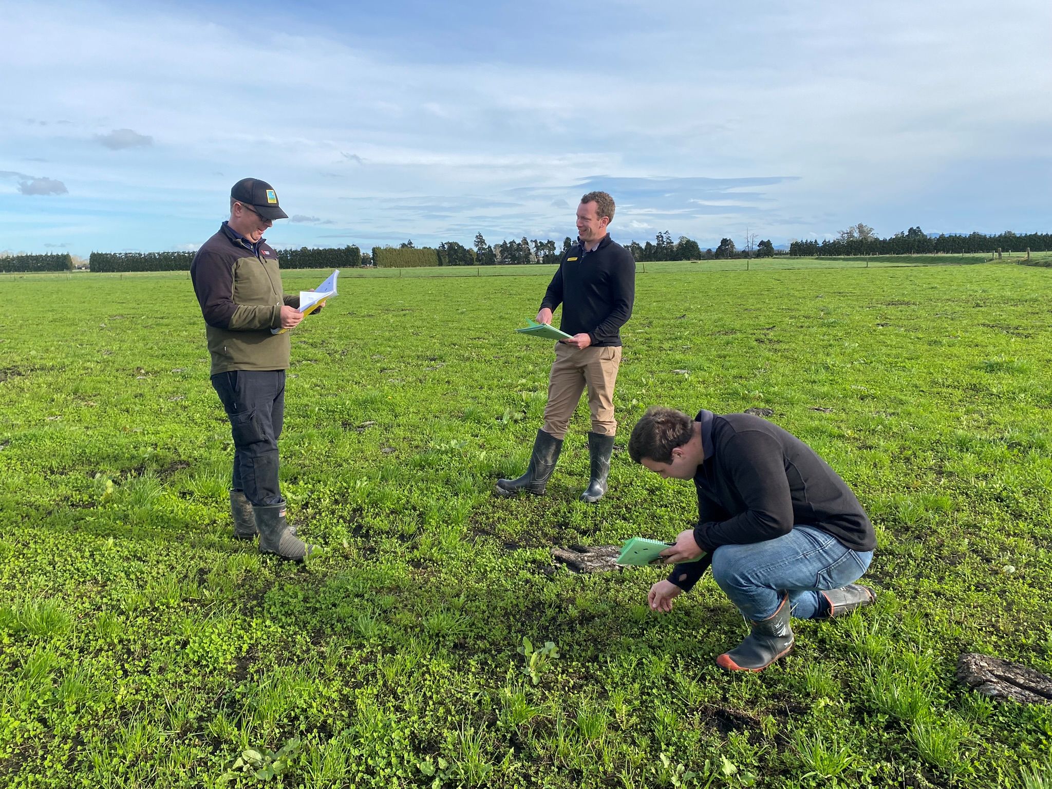 Seasonal priorities – Managing pasture in the wet